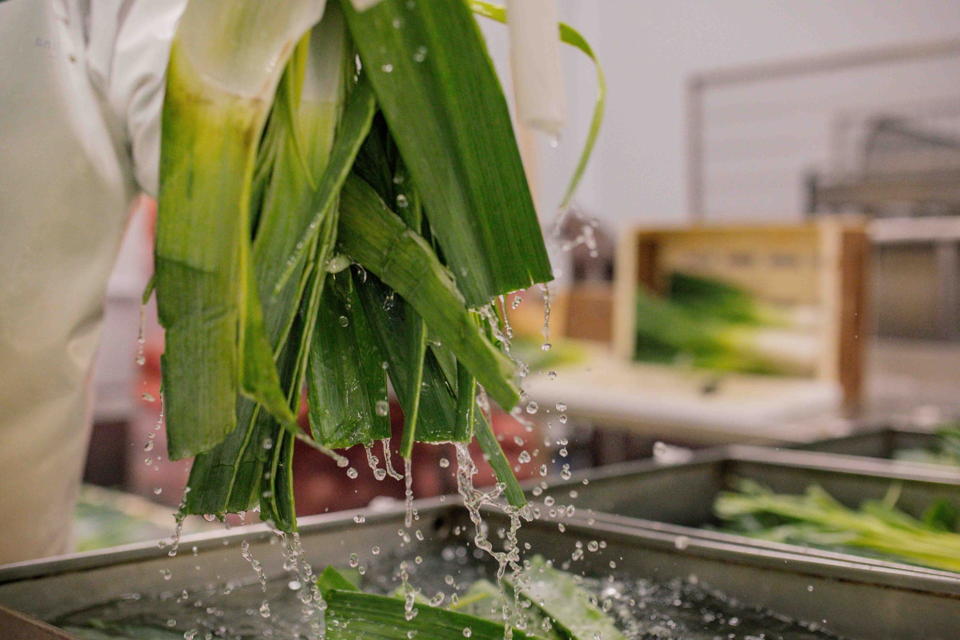 A unique way to make NATURAL broth